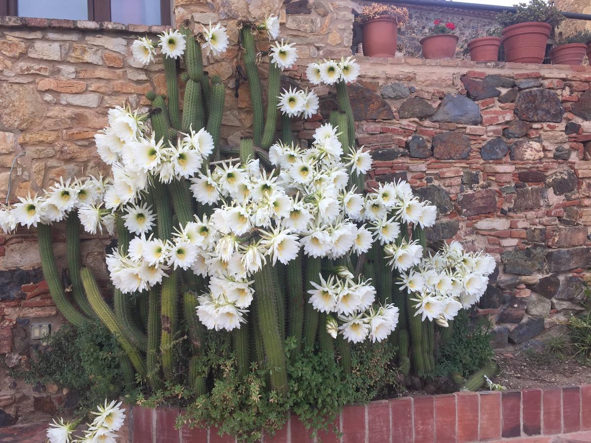 Mas Tomas Guest House Vall-Llobrega Exterior photo